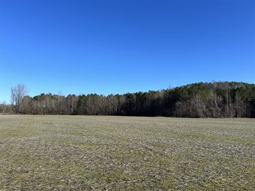 48 Acres in Lafayette County, MS : Paris : Lafayette County : Mississippi