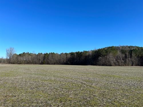 48 Acres In Lafayette County, MS : Paris : Lafayette County : Mississippi