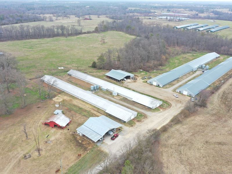 Wilks Broiler Farm : Fyffe : Dekalb County : Alabama