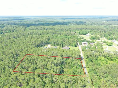 Big & Beautiful Hobby Farm : Pearlington : Hancock County : Mississippi