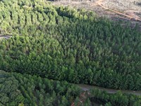 24.74 Ac, Pleasant Rd Camp Hill : Camp Hill : Tallapoosa County : Alabama