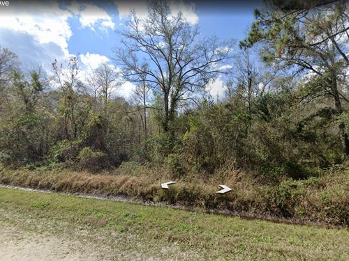 Flagler Estates New Release Tiny OK : Hastings : Saint Johns County : Florida