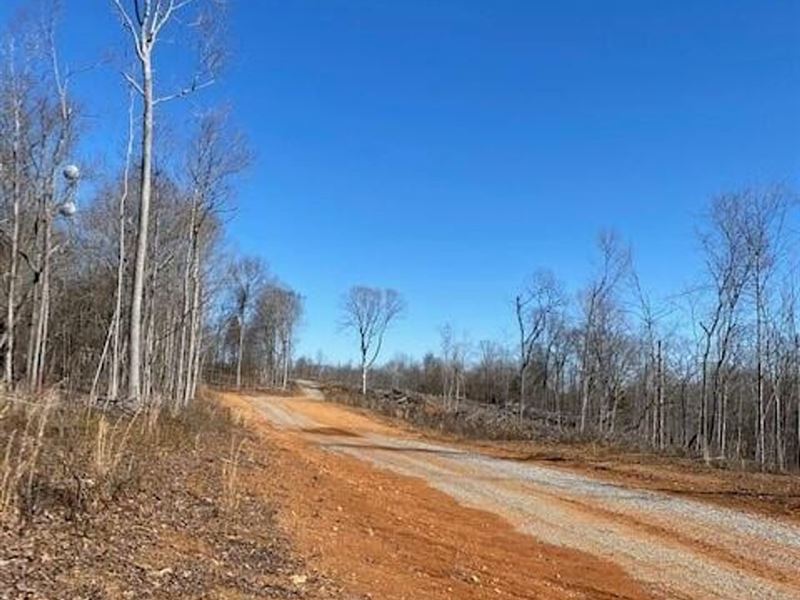 5.24 Acres Centrally Located Betw : Decatur : Meigs County : Tennessee