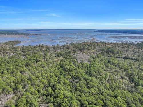 Drizzle Bluff Retreat : Woodbine : Camden County : Georgia