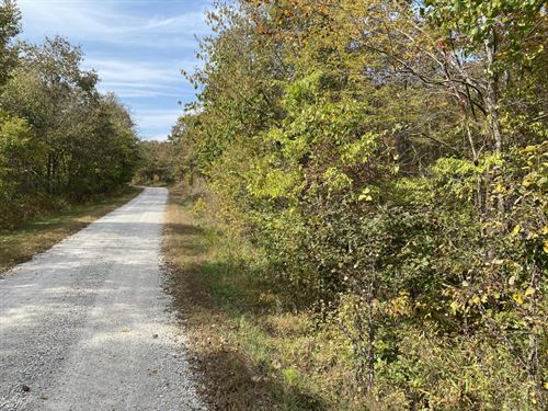 Nicely Wooded : Edwards : Benton County : Missouri