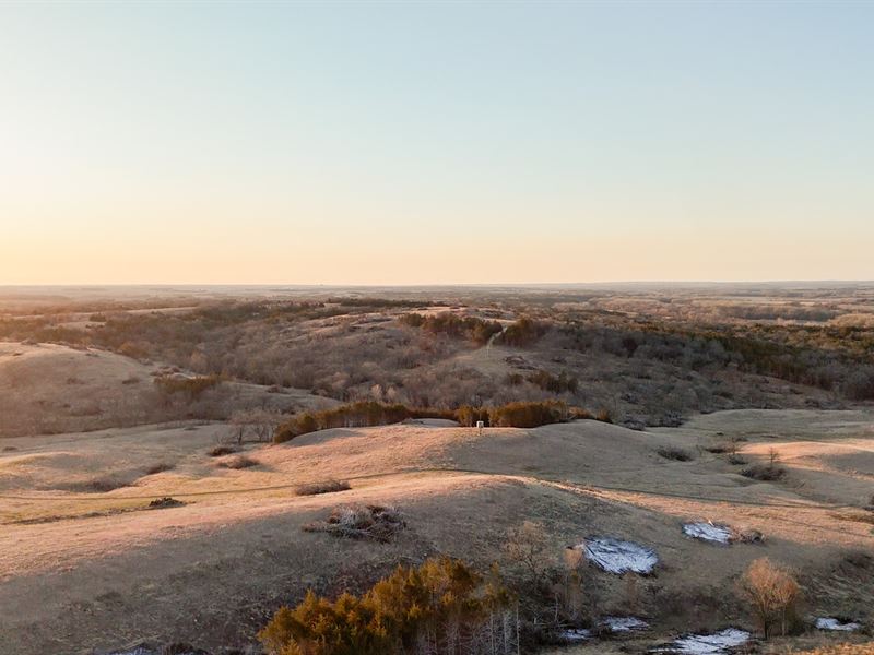 Auction, Othala Moon Hunting : Fairbury : Jefferson County : Nebraska