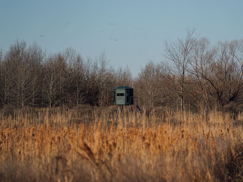One Equity Share at Lone Cypress : Cascilla : Tallahatchie County : Mississippi