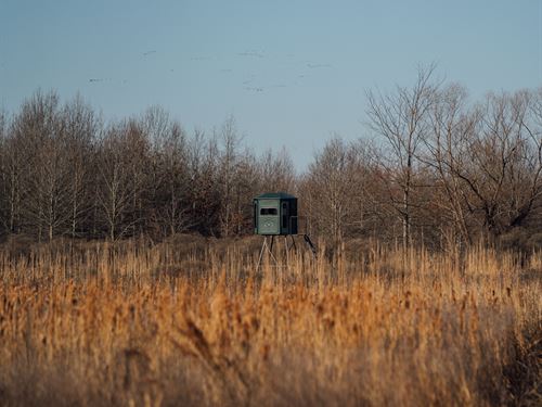 One Equity Share at Lone Cypress : Cascilla : Tallahatchie County : Mississippi