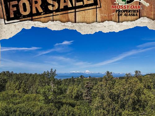 L3 Tovarish Rd, Ninilchik : Ninilchik : Kenai Peninsula Borough : Alaska