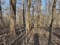 Sarah Myers 12 : West Terre Haute : Vigo County : Indiana