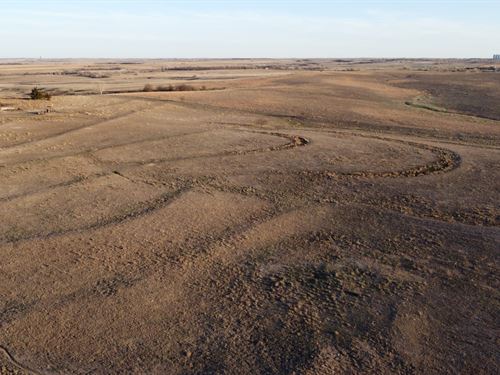 Rooks County Tract 2 Cultivation : Damar : Rooks County : Kansas