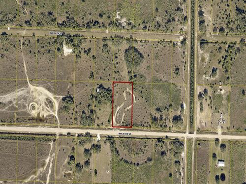 Peaceful Private Land in Okeechobee : Okeechobee : Florida