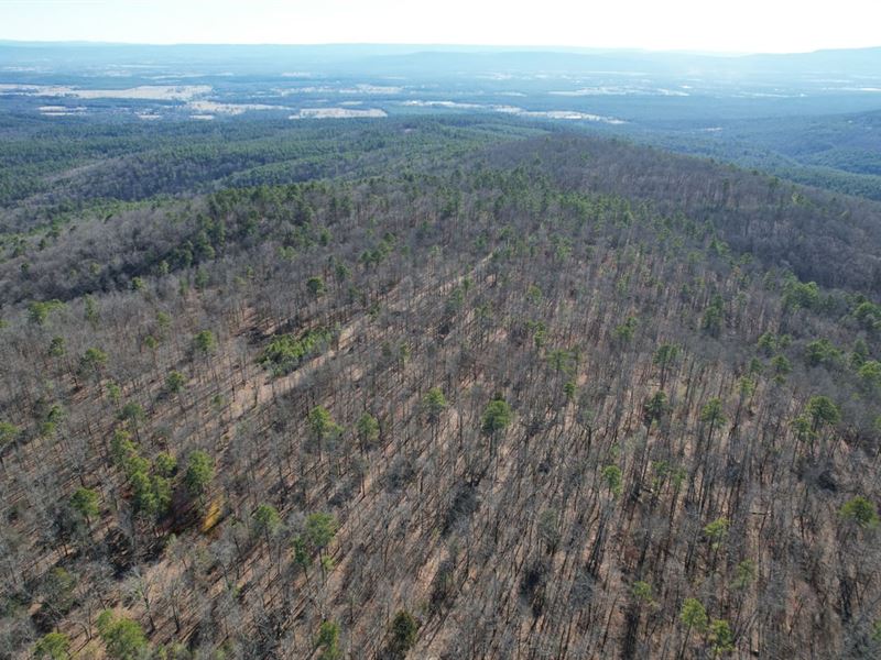 Ozark National Forest Inholding : Belleville : Yell County : Arkansas