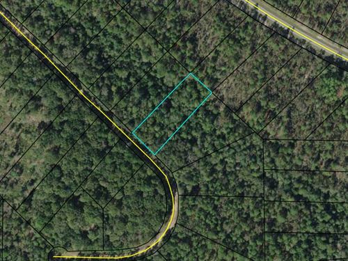 Beautiful Compass Lakes Acre : Marianna : Jackson County : Florida