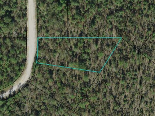 Lot in Popular Lake Community : Alford : Jackson County : Florida