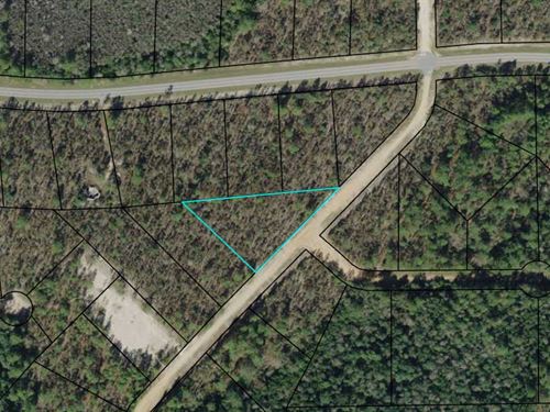 Triangular Lot, Compass Lakes : Marianna : Jackson County : Florida