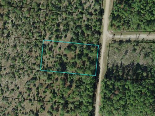 1.14 Acres in Compass Lakes : Marianna : Jackson County : Florida