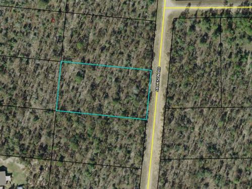 Beautiful Lake Community Acre : Marianna : Jackson County : Florida