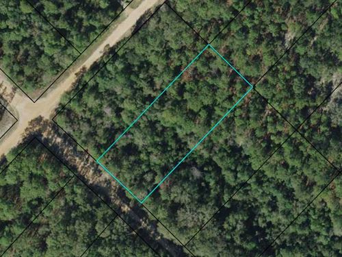 1.48 Acres in Lake Community : Marianna : Jackson County : Florida
