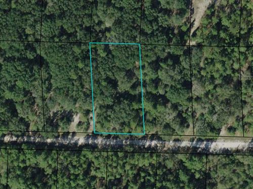 Beautiful Lake Community Acre : Marianna : Jackson County : Florida
