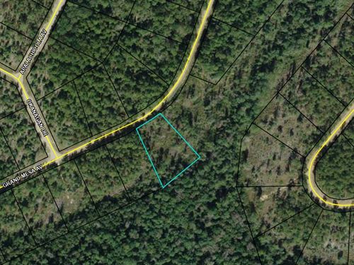 1.2 Acres with HOA Acreage Behind : Alford : Jackson County : Florida