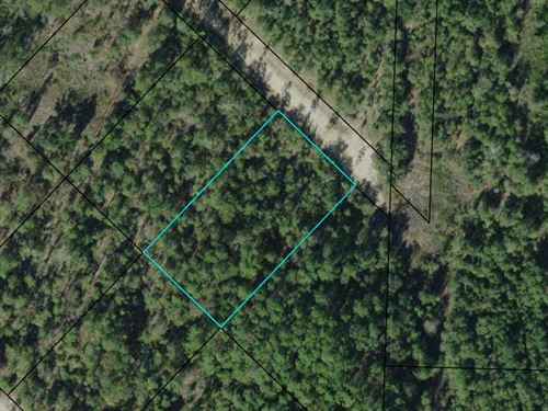1+ Acre in Lake Community : Marianna : Jackson County : Florida