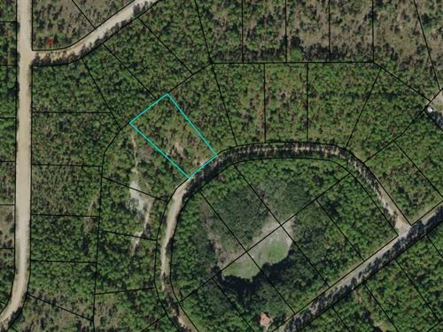 1.1 Acre Lot Just Steps From Lake : Alford : Jackson County : Florida
