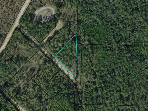 Private 1.5 Acre in Compass Lakes : Marianna : Jackson County : Florida