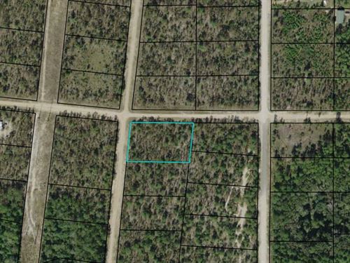Compass Lakes Corner Lot Acre : Alford : Jackson County : Florida