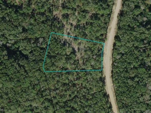 1.3 Acres in Beautiful Compass Lake : Alford : Jackson County : Florida