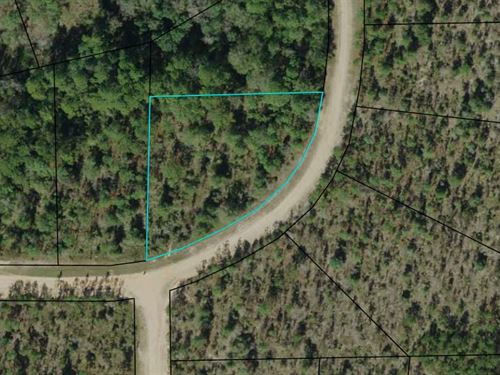 1.33 Acre Backs to Lake : Alford : Jackson County : Florida
