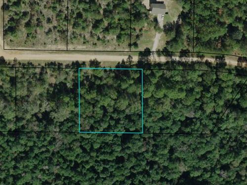 1.1 Acre Minutes From Compass Lake : Alford : Jackson County : Florida