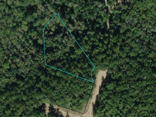 1.25 Acre Cul-De-Sac Lot : Alford : Jackson County : Florida