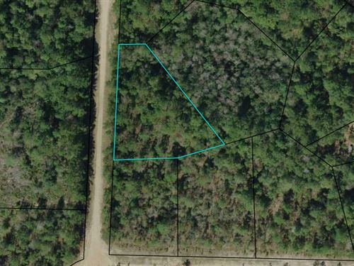 Compass Lakes 1.04 Acre Lot : Alford : Jackson County : Florida