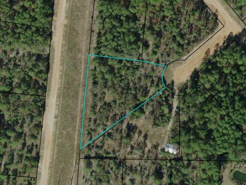 1.22 Acre Cul-De-Sac Lot : Alford : Jackson County : Florida