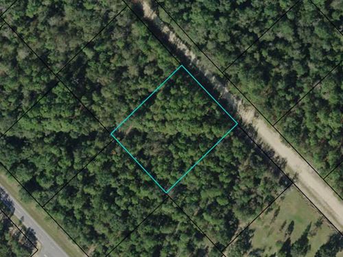 1.1 Acres in Beautiful Compass Lake : Marianna : Jackson County : Florida