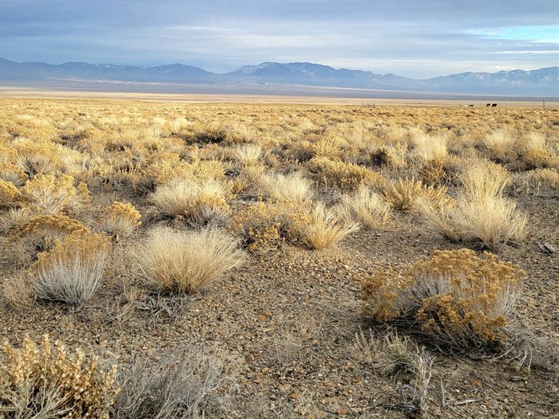 Ready to Build, RV / Camp Friendly : Montello : Elko County : Nevada