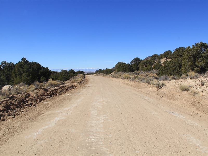 Mountain Views Near Trails & Lake : Fort Garland : Costilla County : Colorado
