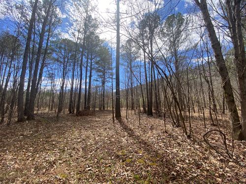 12 Acres, Two Home Sites, Wooded : Ashville : Saint Clair County : Alabama