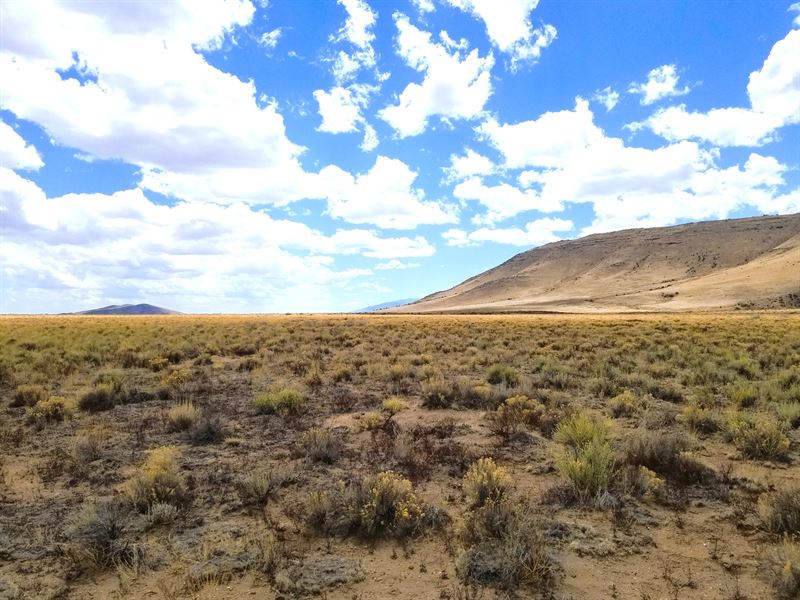 Less Than a Mile to Rio Grande : San Luis : Costilla County : Colorado