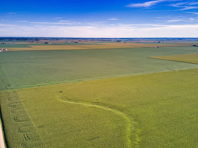 Farmland with Power & County Roads : Downs : McLean County : Illinois