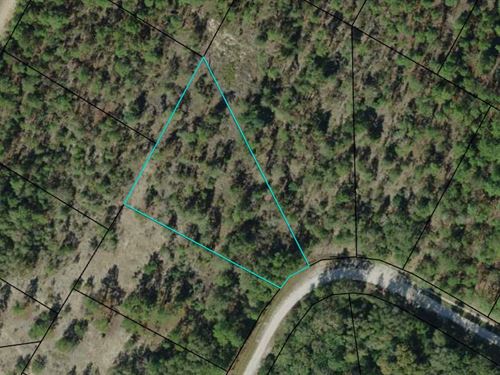 1.22 Acres Walking Distance to Lake : Alford : Jackson County : Florida