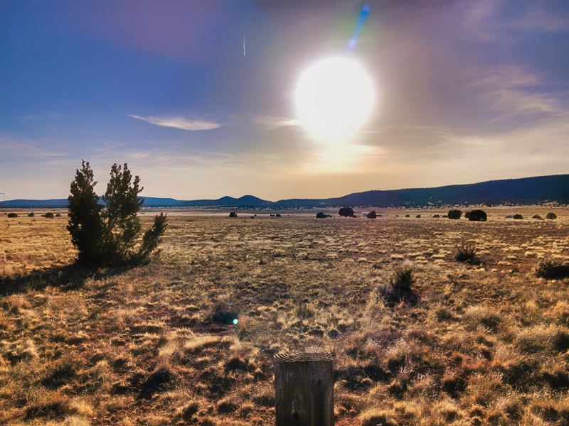 Build Your Dream Retreat $150/Month : Seligman : Yavapai County : Arizona