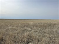Kiowa County, CO Income Property : Haswell : Kiowa County : Colorado
