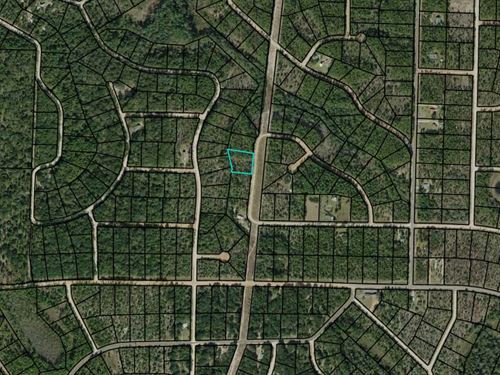 1.37 Acre Lot in Compass Lakes : Alford : Jackson County : Florida