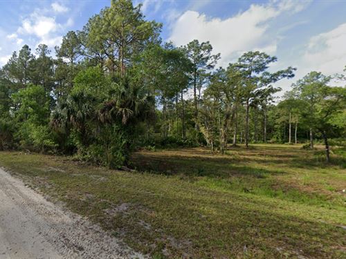 1+ Acre on 211 Brewster : Satsuma : Putnam County : Florida