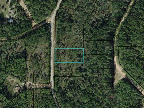 1.25 Acres, Beautiful Compass Lake : Marianna : Jackson County : Florida