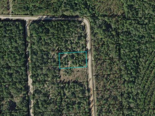 1.11 Acres in Compass Lakes : Marianna : Jackson County : Florida
