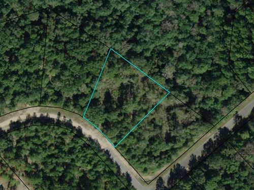 1.1 Acre Near Compass Lake : Alford : Jackson County : Florida