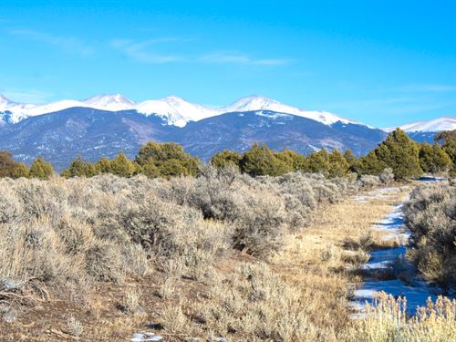 Mountain View, Wild Horses in CO : San Luis : Costilla County : Colorado